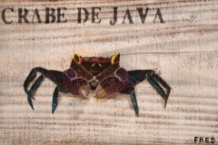 Planche Crabe de Java (format 36 /20)